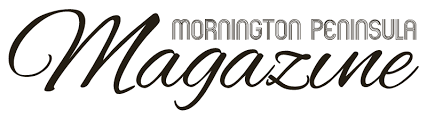Media Partner